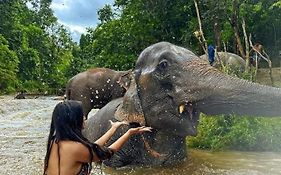 Wild Park Safari Home Stay