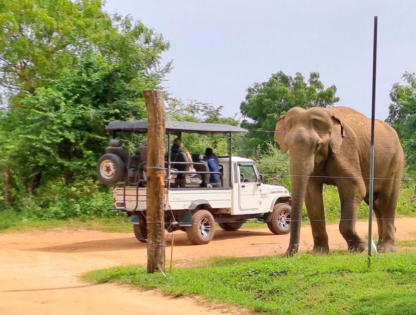 Wild Park Safari Home Stay Удавалаве Экстерьер фото