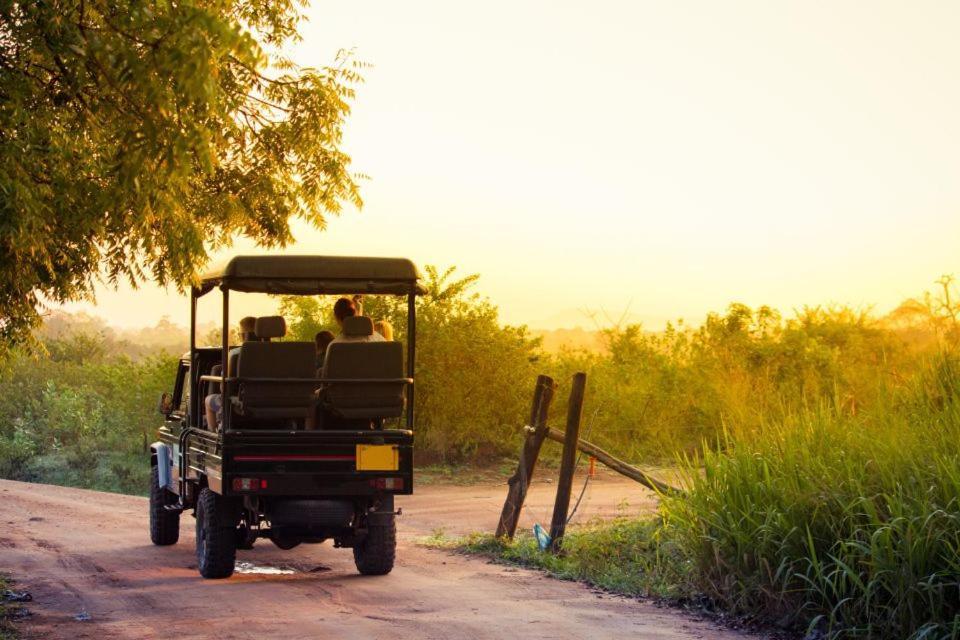 Wild Park Safari Home Stay Удавалаве Экстерьер фото